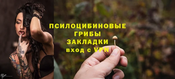 тгк Аркадак