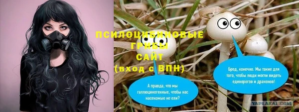 тгк Аркадак