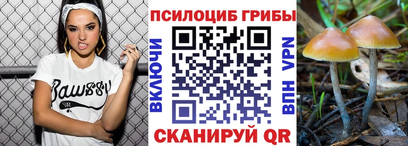 Псилоцибиновые грибы Magic Shrooms  гидра вход  Арск 